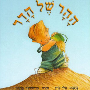 כריכת הספר ההר של הדר 