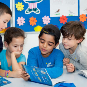 כריכת הספר לחגוג את הספר כל השנה